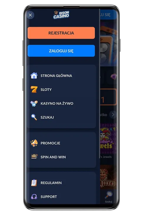 kasyna-bison